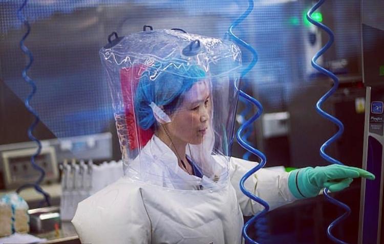 “No tenemos nada que ocultar” la científica estrella de Wuhan invita a la OMS a visitar el laboratorio en el centro de la polémica por el origen del coronavirus