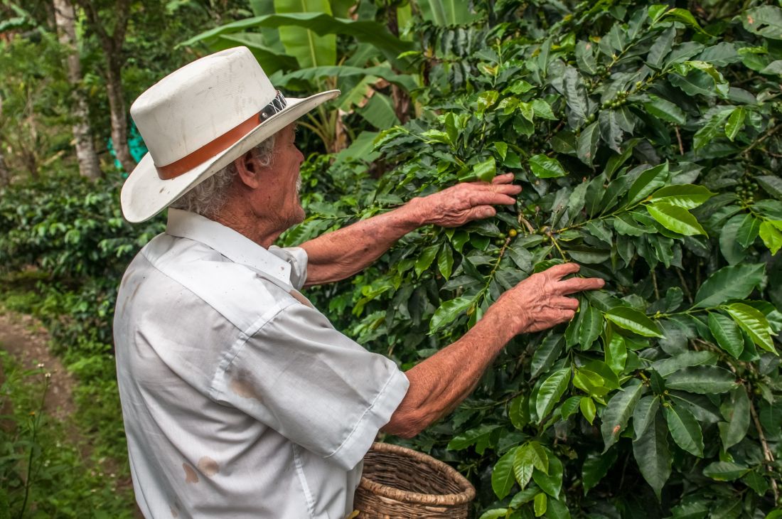 La propuesta de Nitrofert para que el agro colombiano ‘explote’